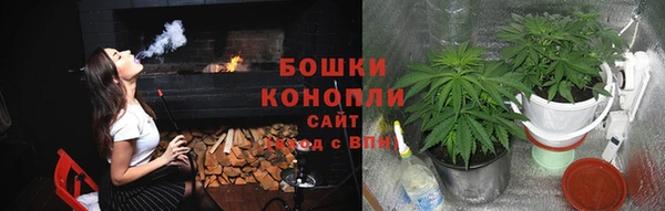 молекула духа Ладушкин