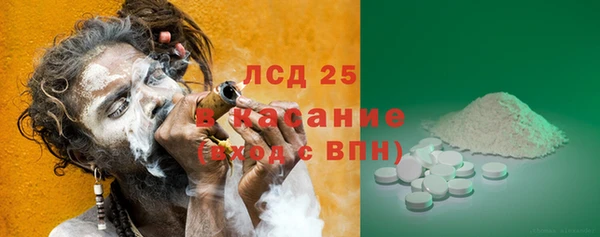 молекула духа Ладушкин