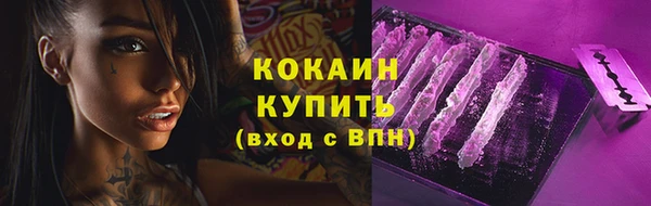 молекула духа Ладушкин
