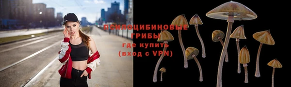 индика Орск