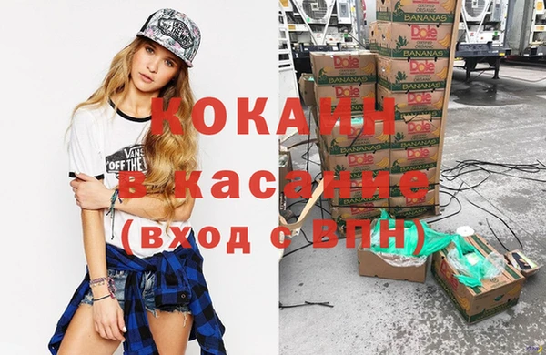молекула духа Ладушкин