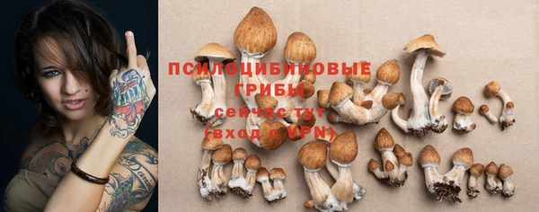 дурь Липки