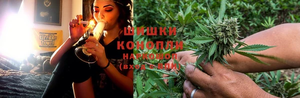 молекула духа Ладушкин