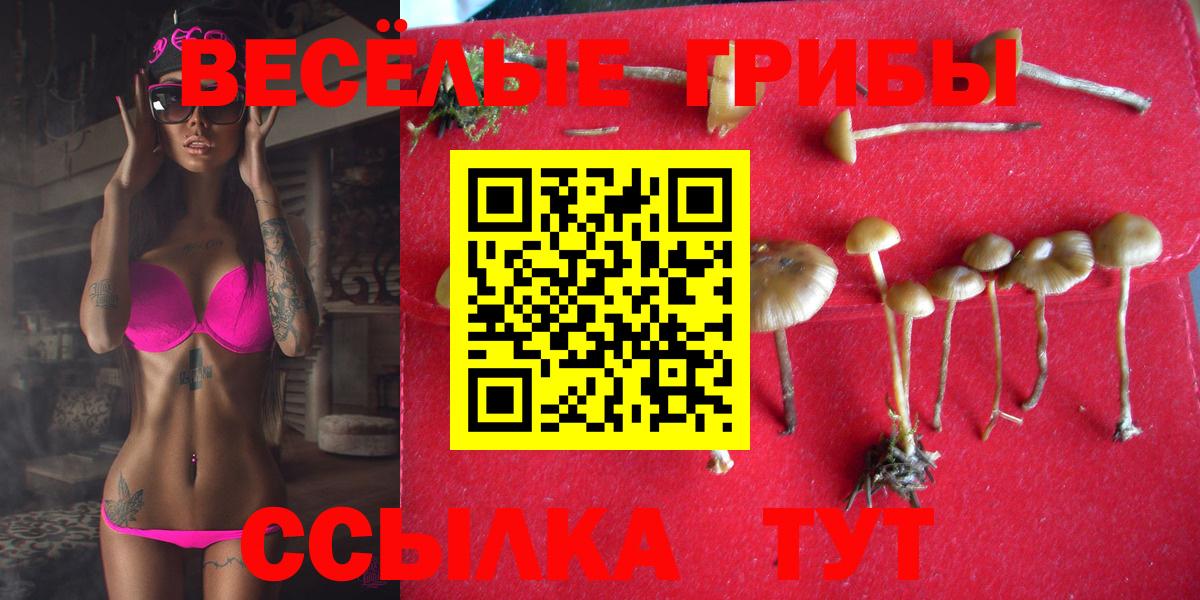 Кондопога  Галлюциногенные грибы GOLDEN TEACHER  Галлюциногенные грибы MAGIC MUSHROOMS  Вход с VPN 