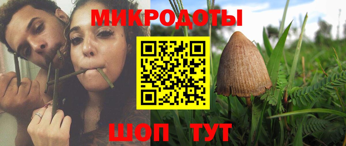 закладки  Кондопога  Псилоцибиновые грибы Magic Shrooms 