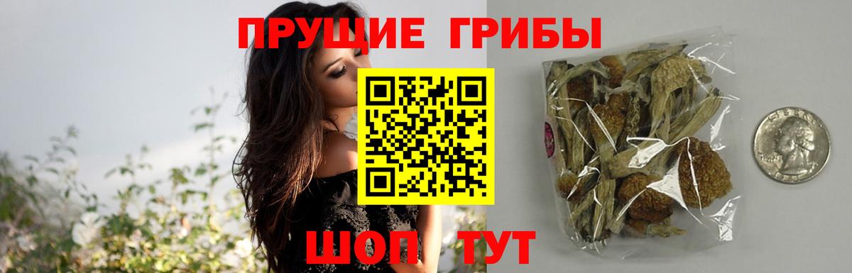 Псилоцибиновые грибы мицелий Кондопога