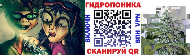 где продают наркотики Кондопога blacksprut как зайти Бошки Шишки MAZAR